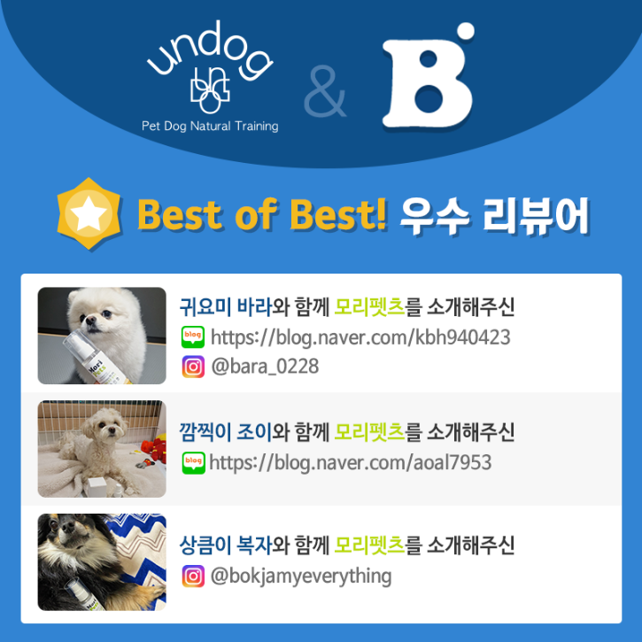 promotion_kakao_undog_event02.png